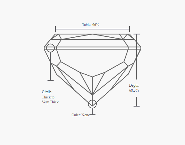 GIA 1.01 Carat H-VVS1 Ideal Cut Radiant Diamond - Image 3