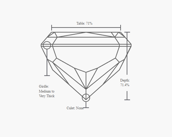 GIA 1.01 Carat G-VS2 Very Good Cut Square Radiant Diamond - Image 3